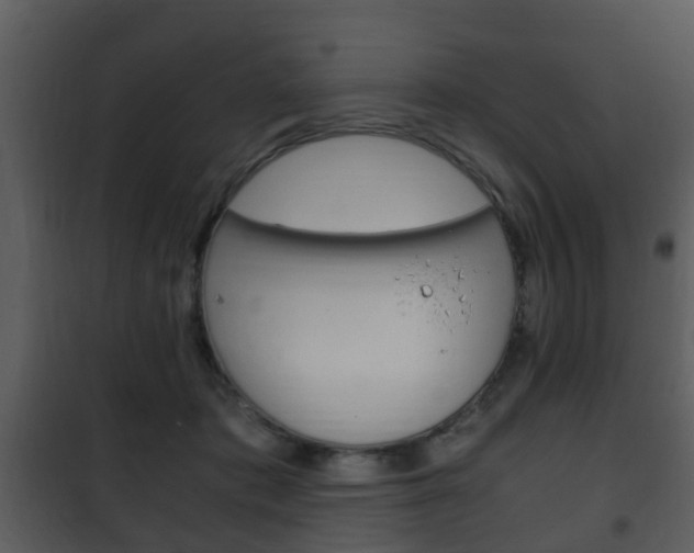 X0000101960413200807180707
