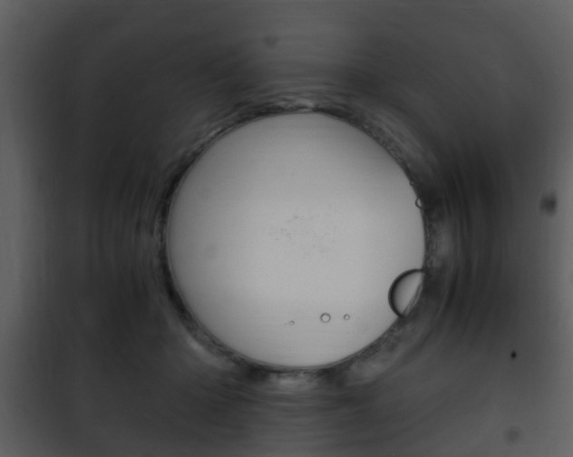 X0000101960414200807180707