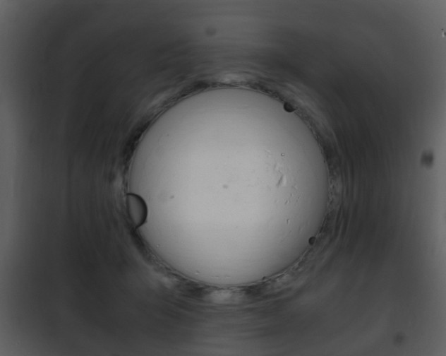 X0000101960415200807180707