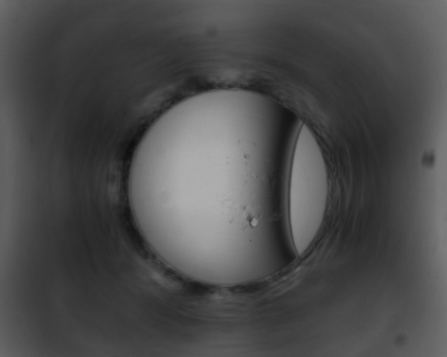 X0000101960416200807180707