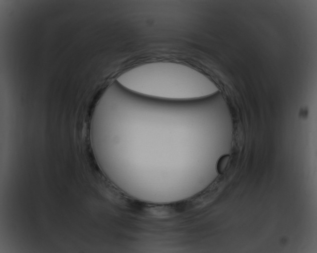 X0000101960417200807180707