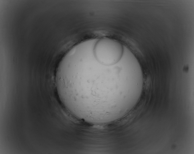 X0000101960418200807180707