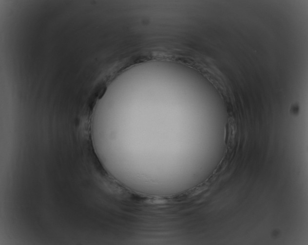 X0000101960419200807180707