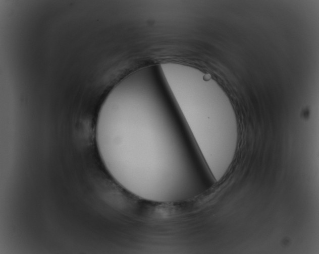 X0000101960420200807180707