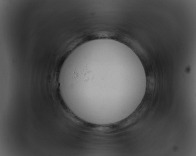 X0000101960422200807180707