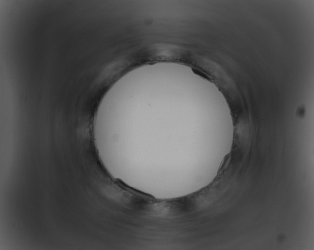 X0000101960423200807180707
