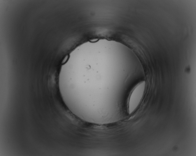 X0000101960424200807180707