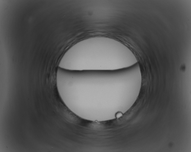 X0000101960425200807180707