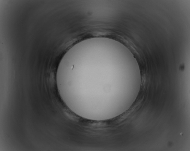 X0000101960426200807180707