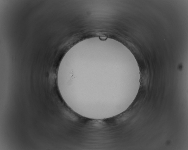 X0000101960427200807180707