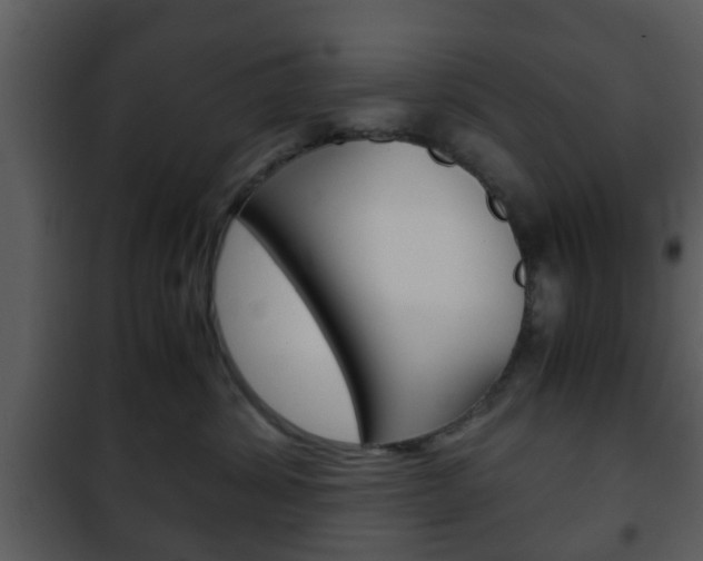 X0000101960428200807180707