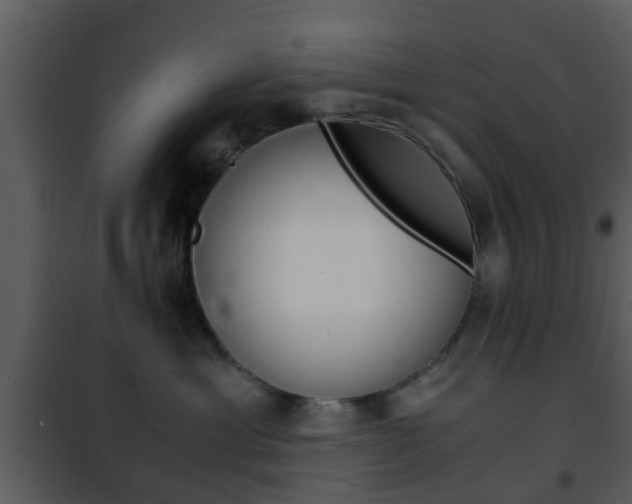 X0000101960429200807180707