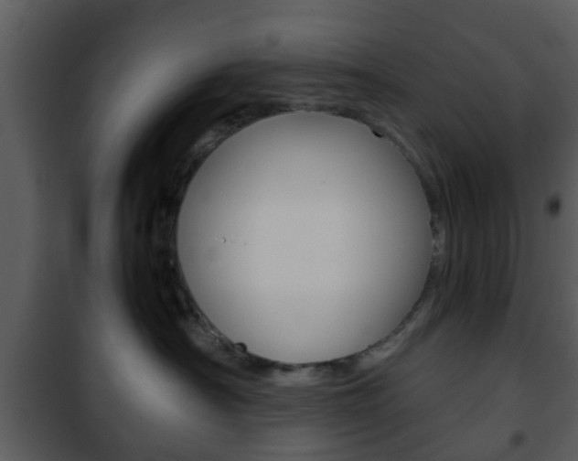X0000101960430200807180707