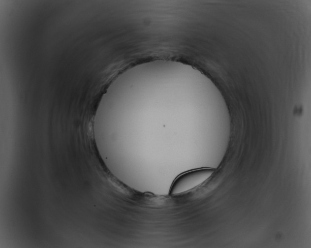 X0000101960432200807180707