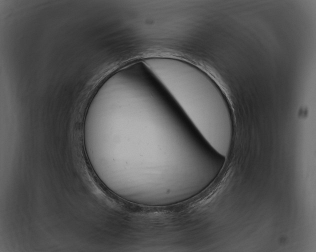 X0000101960433200807180706
