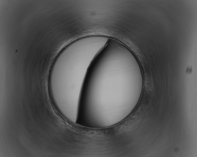 X0000101960434200807180706
