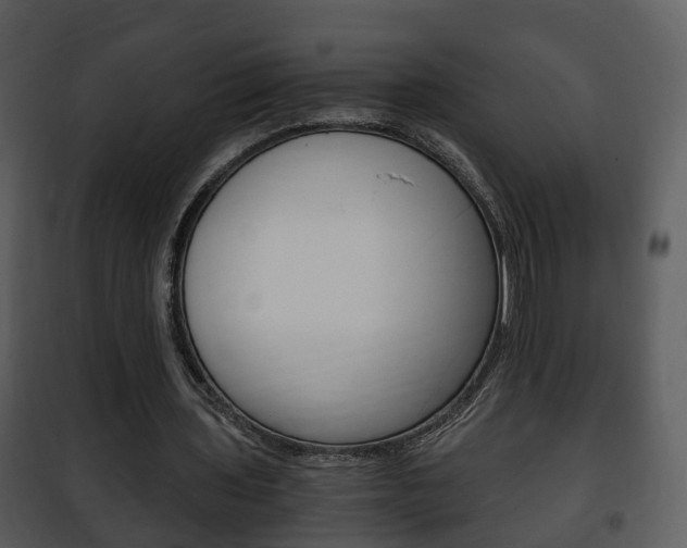 X0000101960435200807180706