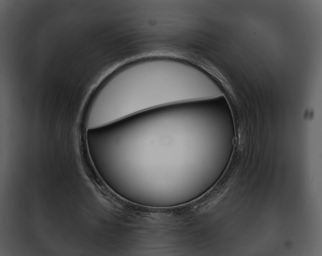 X0000101960436200807180706