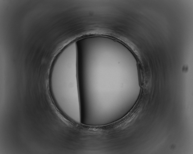 X0000101960437200807180706