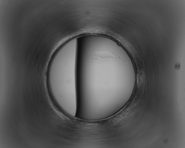X0000101960438200807180706