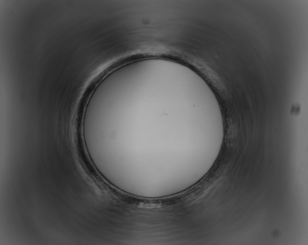 X0000101960440200807180706