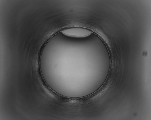 X0000101960441200807180706