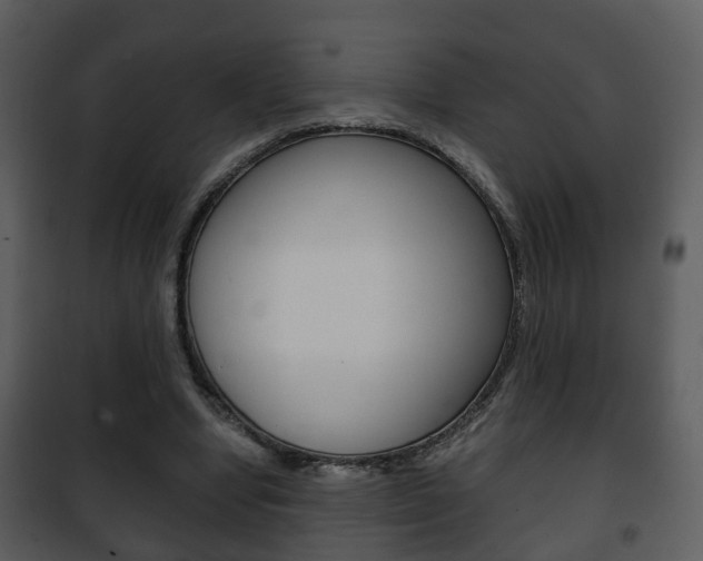 X0000101960442200807180706