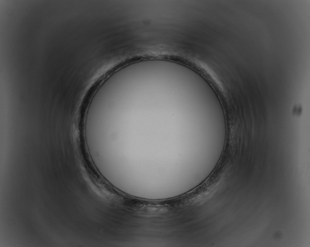 X0000101960443200807180706