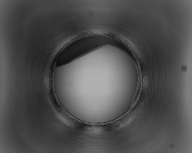 X0000101960444200807180706