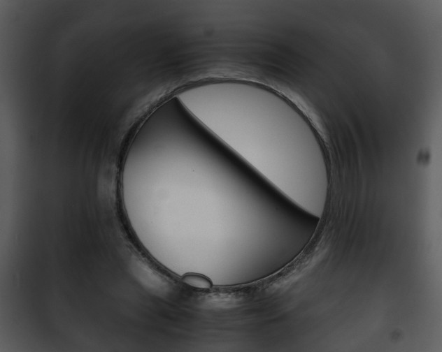 X0000101960445200807180706