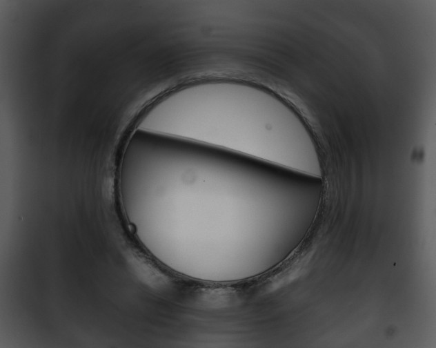 X0000101960446200807180706