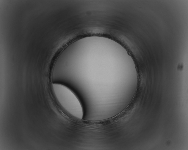 X0000101960447200807180706