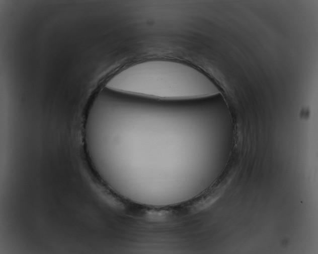 X0000101960450200807180706