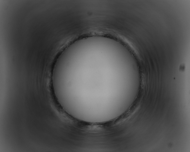 X0000101960451200807180706