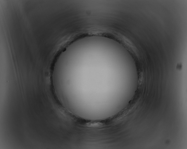 X0000101960452200807180706