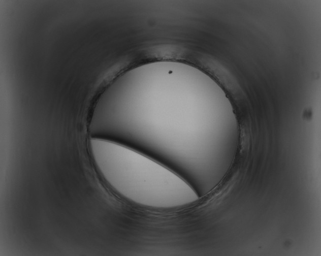 X0000101960453200807180707