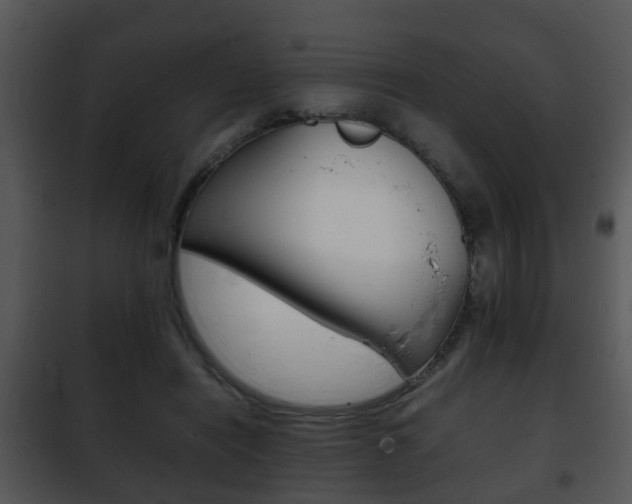 X0000101960454200807180707
