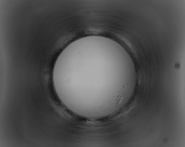 X0000101960455200807180707