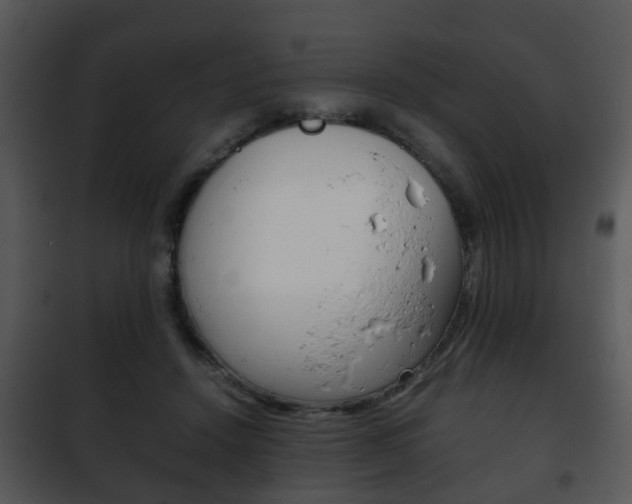 X0000101960456200807180707