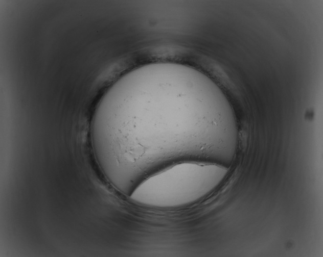 X0000101960458200807180707