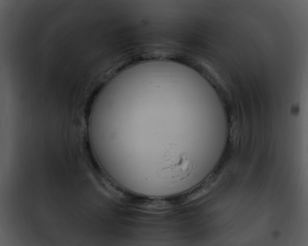 X0000101960459200807180707