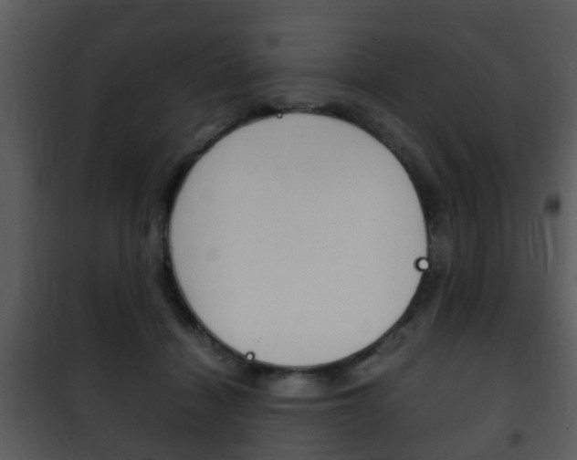 X0000101960460200807180707