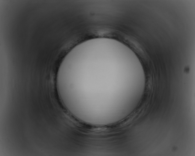 X0000101960461200807180707