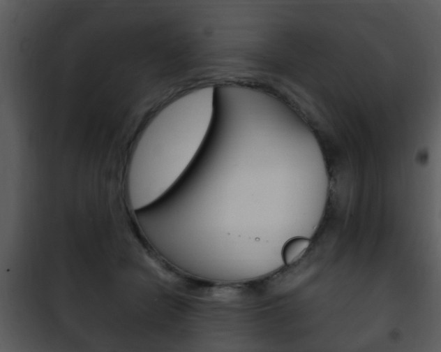 X0000101960462200807180707