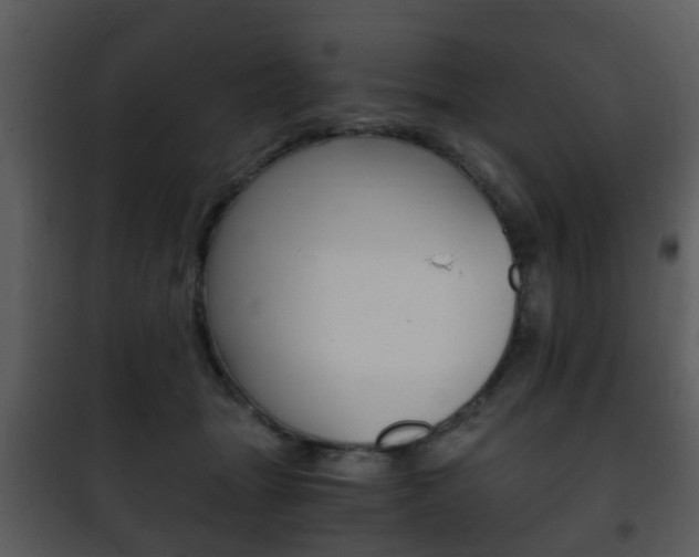 X0000101960463200807180707