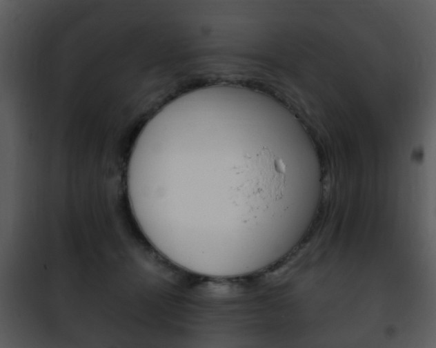 X0000101960464200807180707