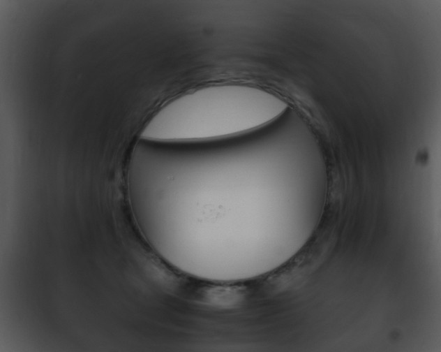 X0000101960465200807180707