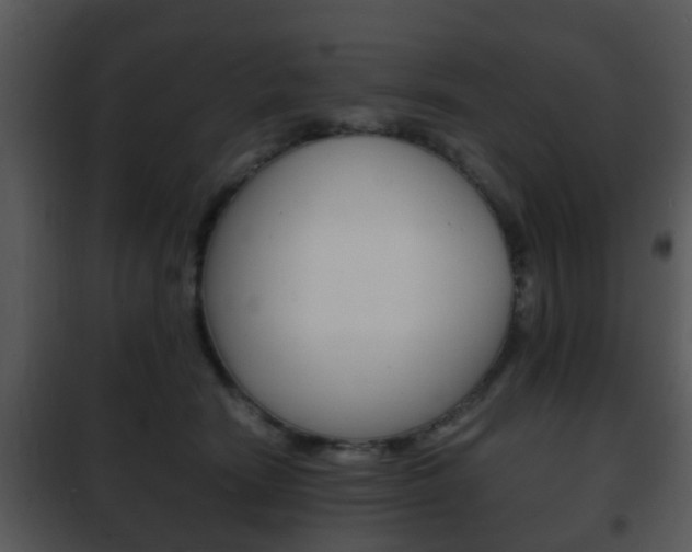 X0000101960466200807180707