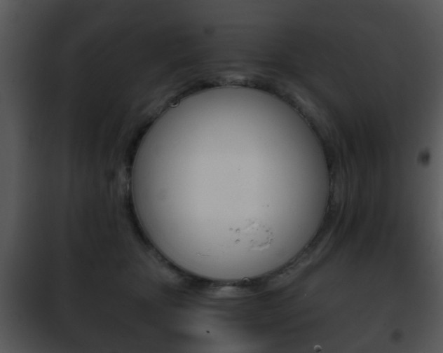 X0000101960467200807180707
