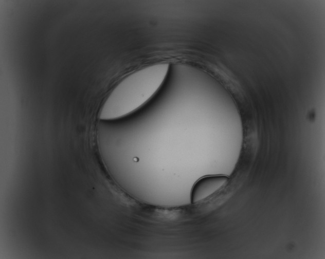 X0000101960469200807180707